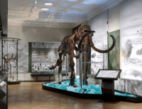 Як у полтавському музеї хочуть впровадити досвід Берліна і Вільнюса