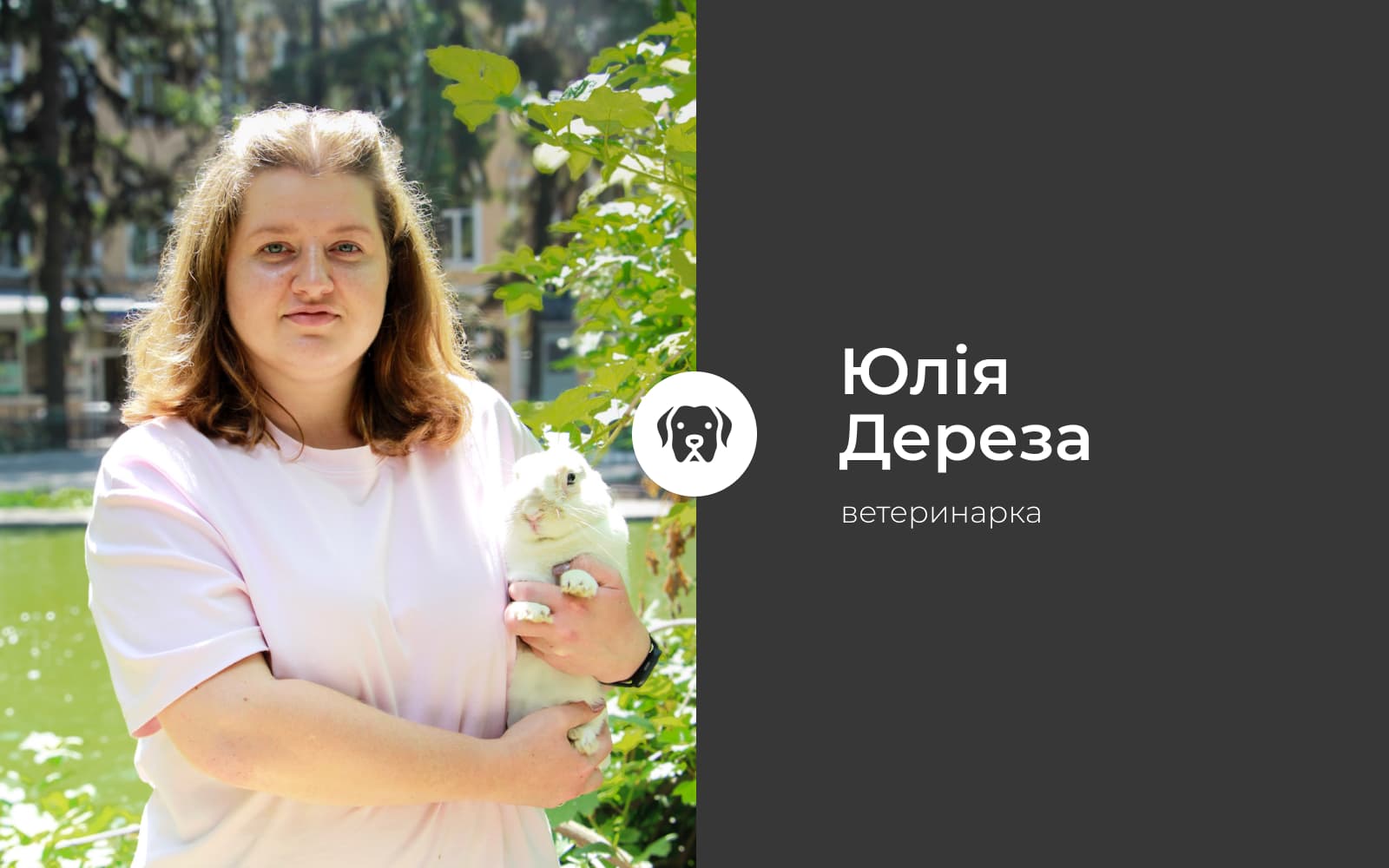 Як зрозуміти, що тварина захворіла? Головні тривожні сигнали