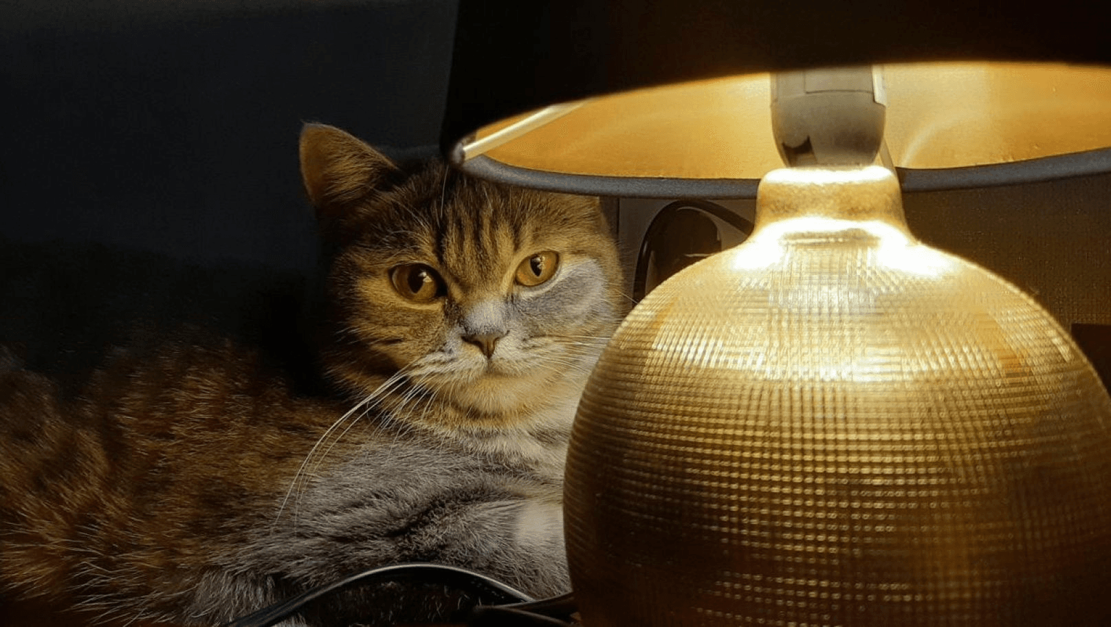 Ілюстративне фото