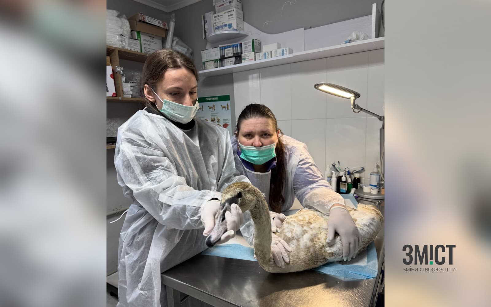 Врятована лебідка