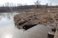 Пік водопілля на Полтавщині: головне щодо ситуації на річках