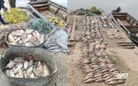 Браконьєр незаконно виловив майже пів тонни риби на водосховищі Полтавщини