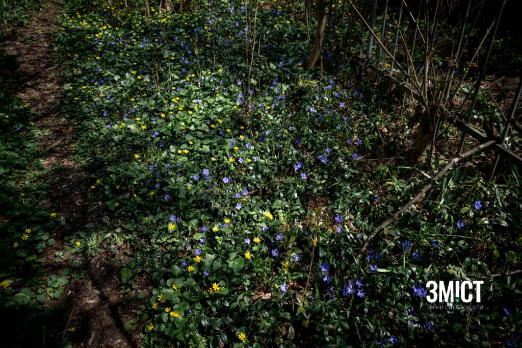 Монастирське кладовище
