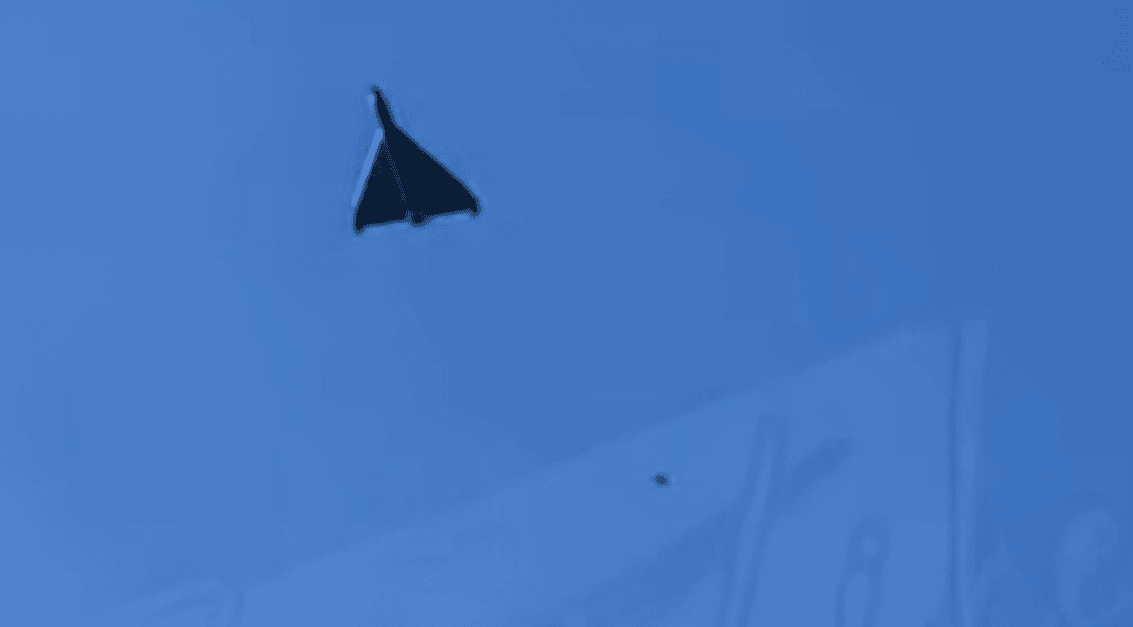 Ілюстративне фото. Дрон