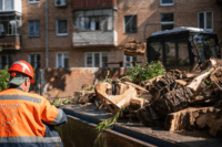 У Полтаві за три місяці спиляли понад 400 дерев, які визнали аварійними 