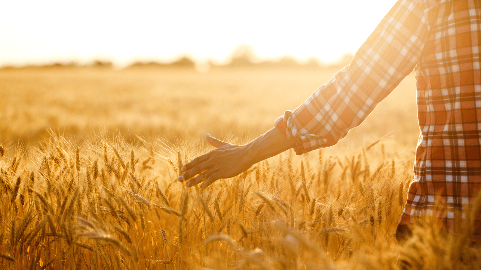 Ілюстративне фото