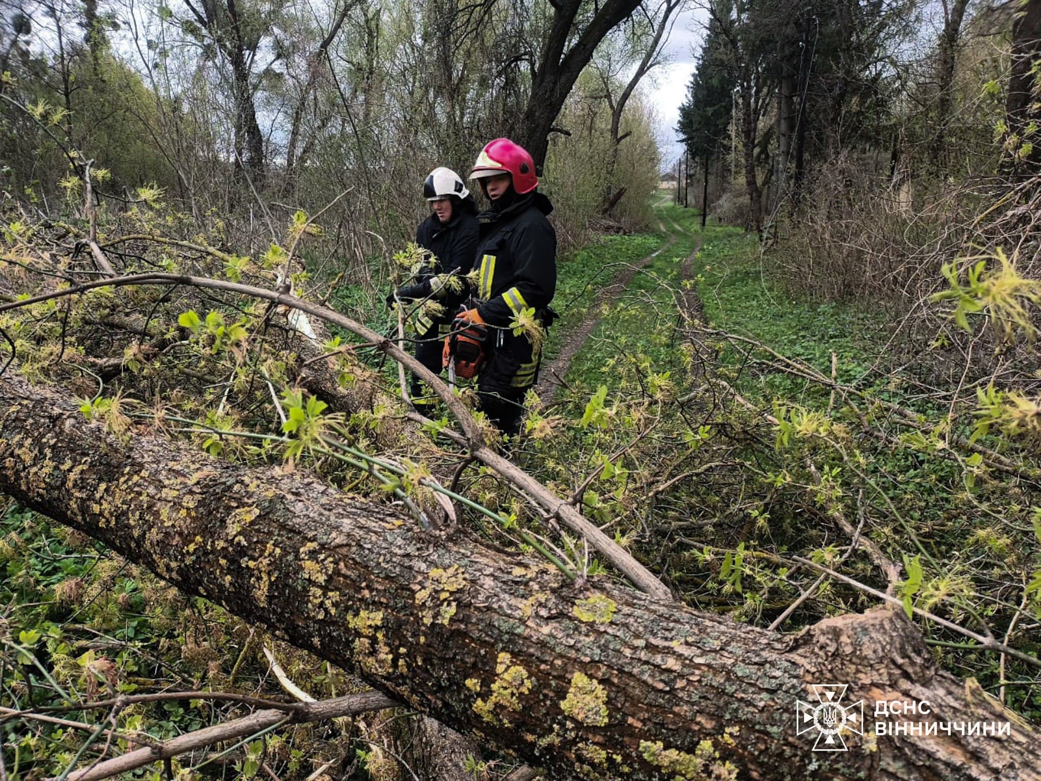 Ілюстративна світлина