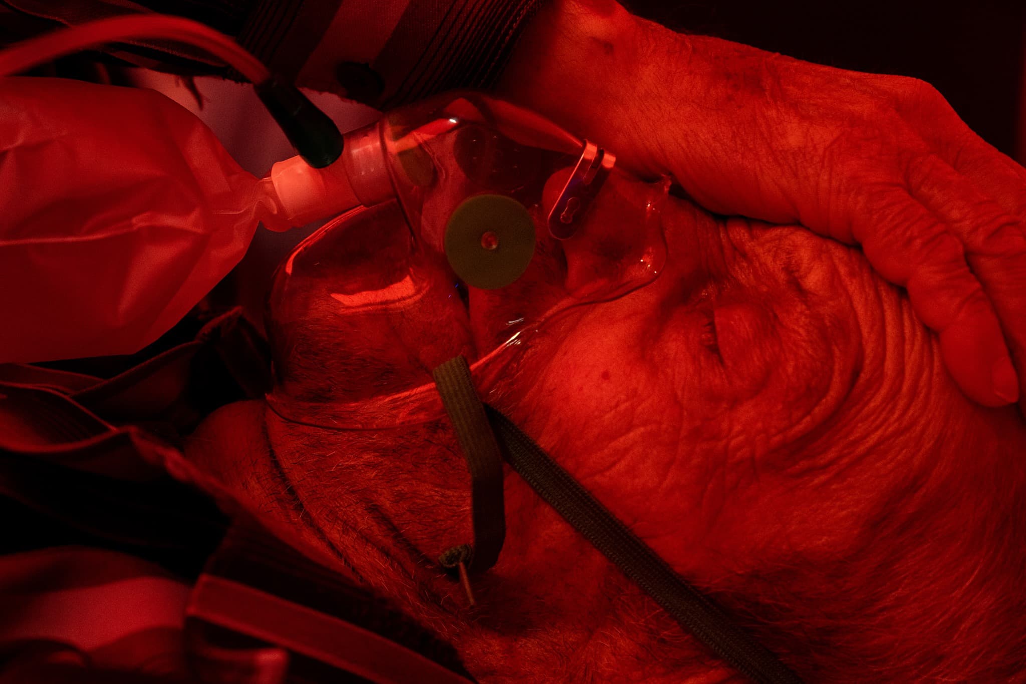 Ілюстративне фото