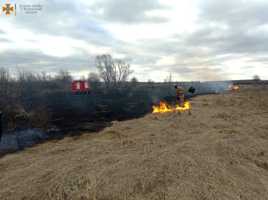 Ілюстративне фото