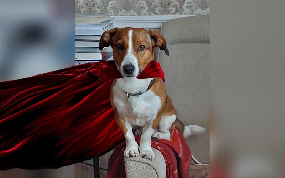 274864966_4986239481483538_2187647563381060692_n