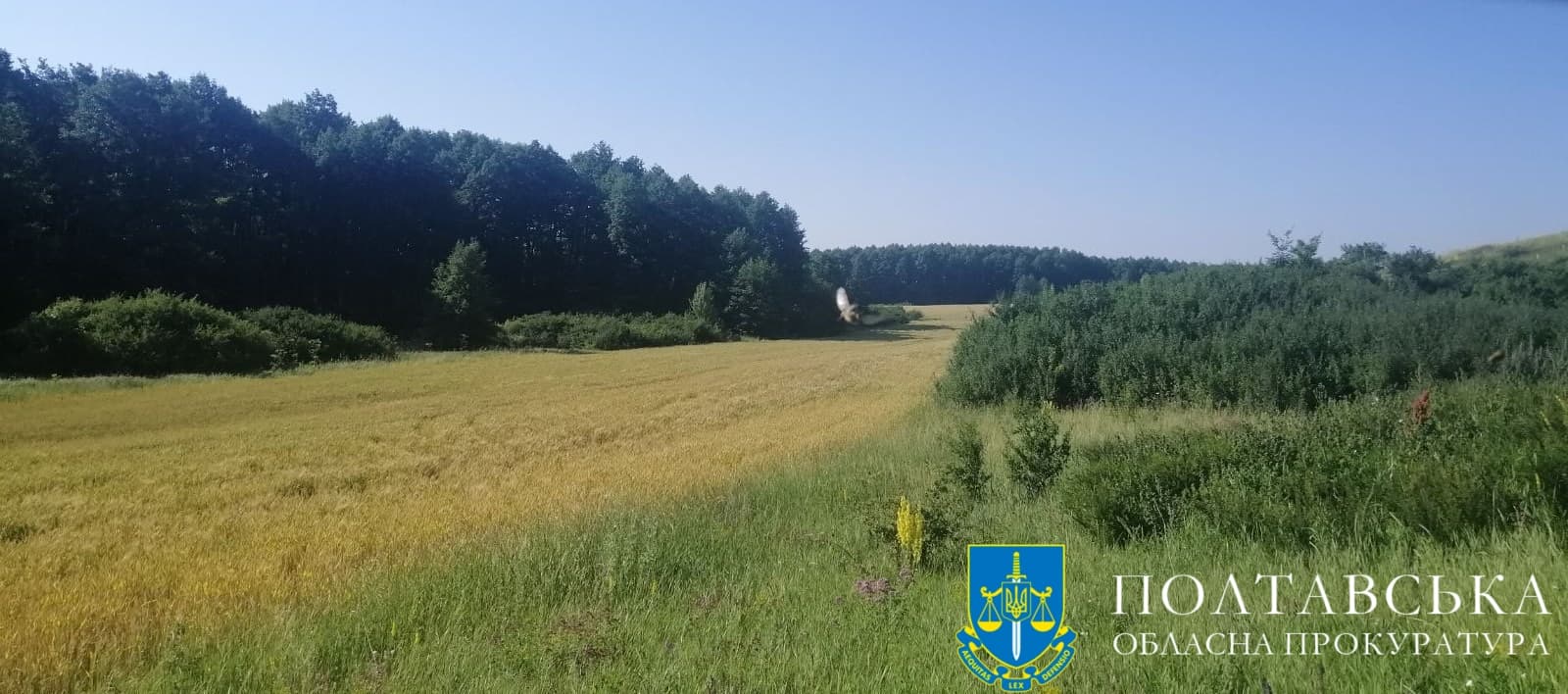 img_1fc8ff4da13764e335bbcf696f888caa_v_1_kopiya