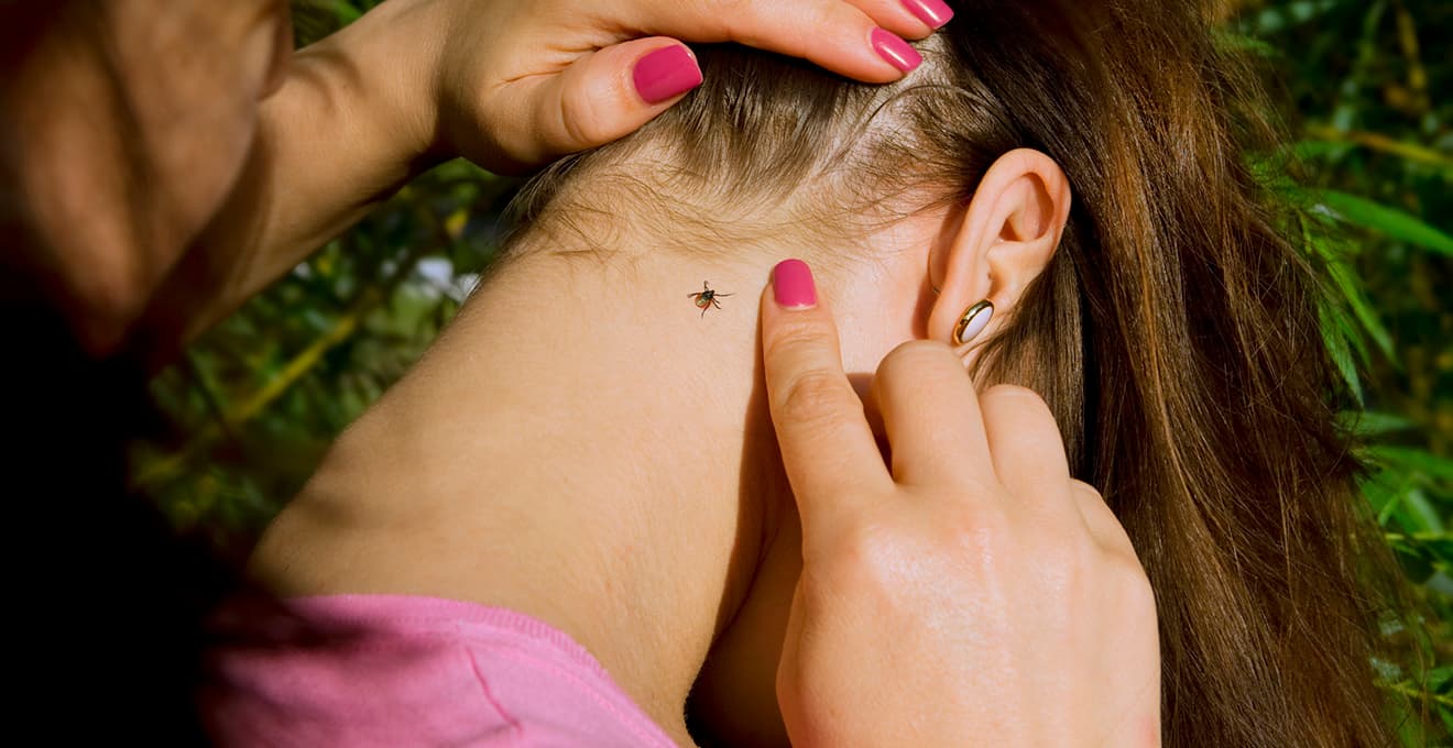 Ілюстративне фото