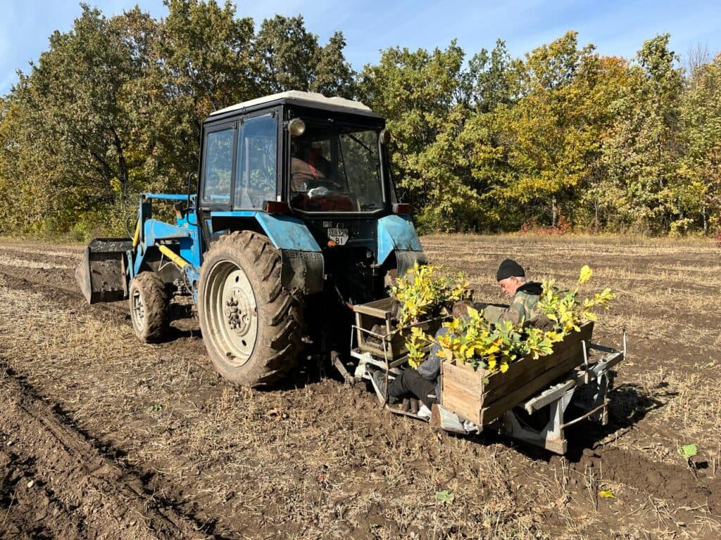 Ліси висадять на Полтавщині