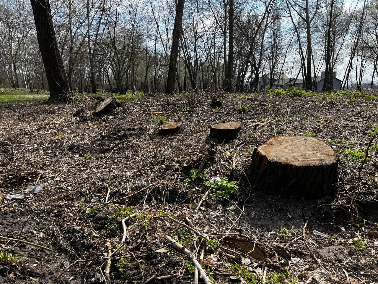 Ілюстративне фото