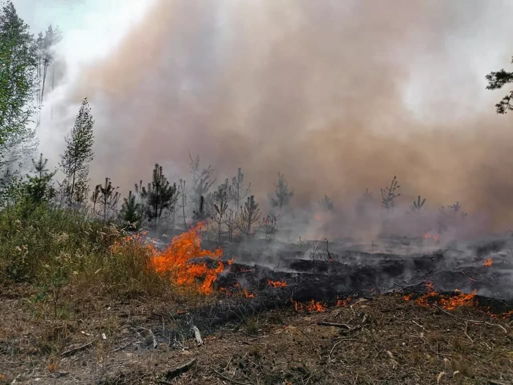 Ілюстративне фото