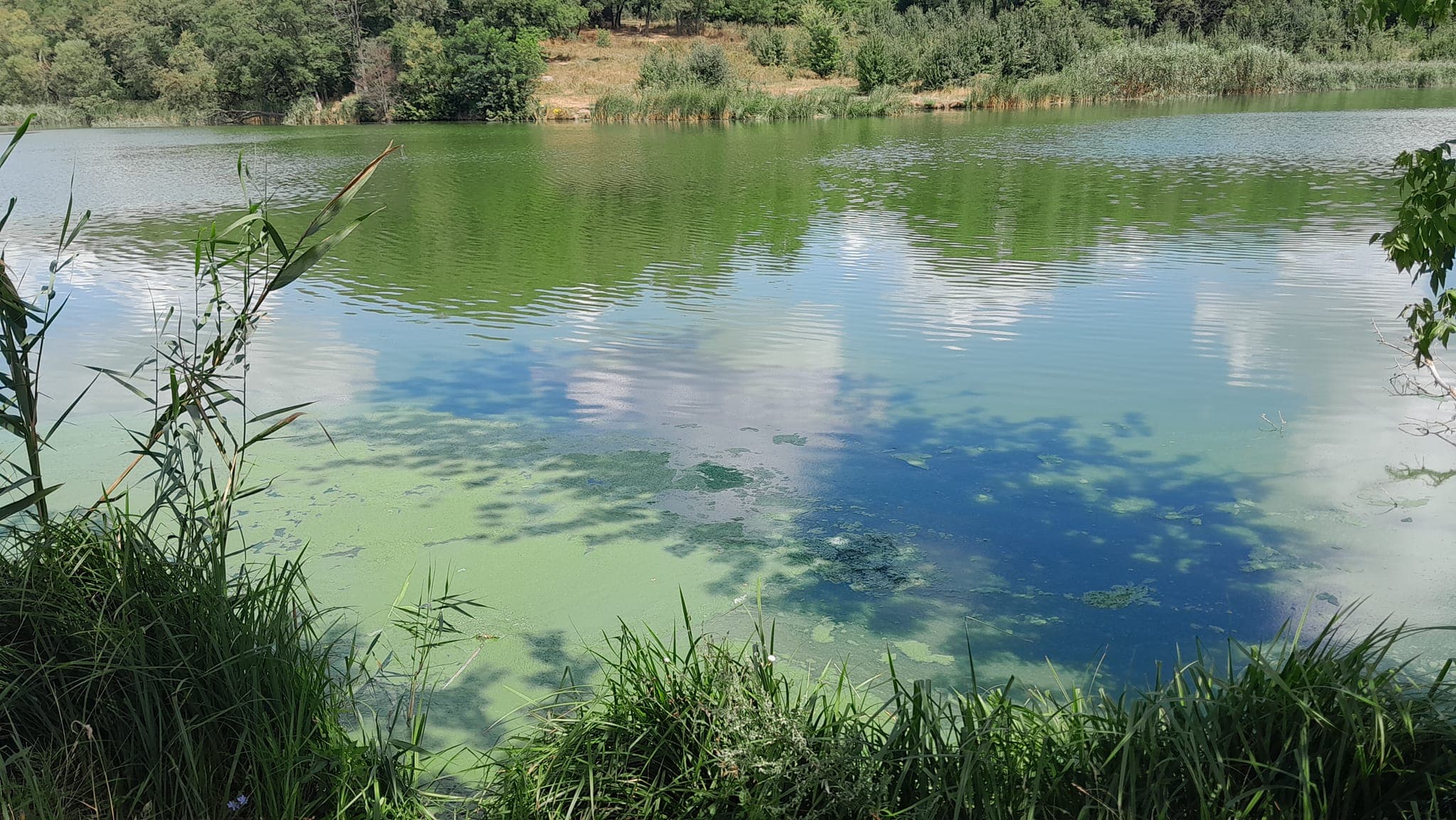 Пушкарівські ставки