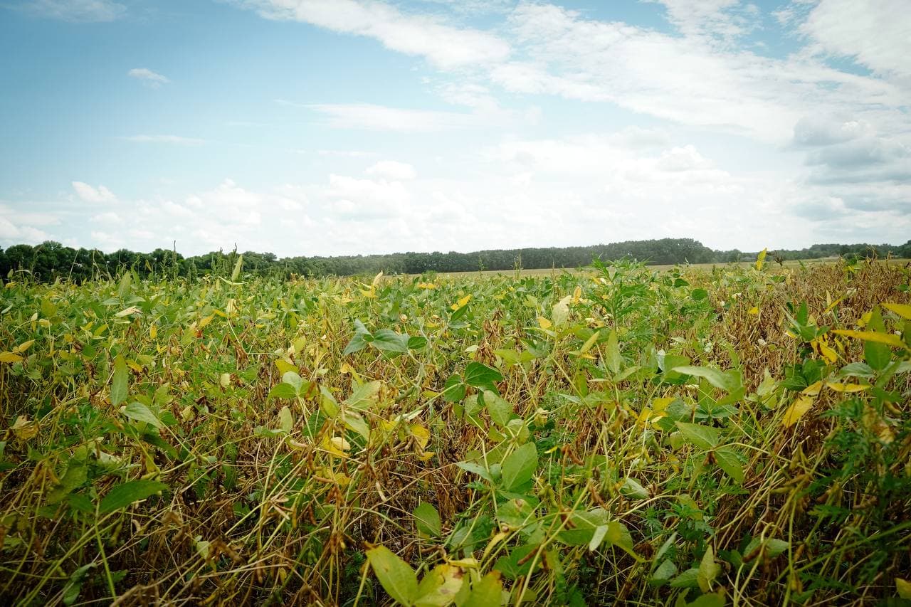 Ілюстративна світлина