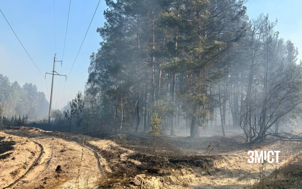 Пожежа під Полтавою