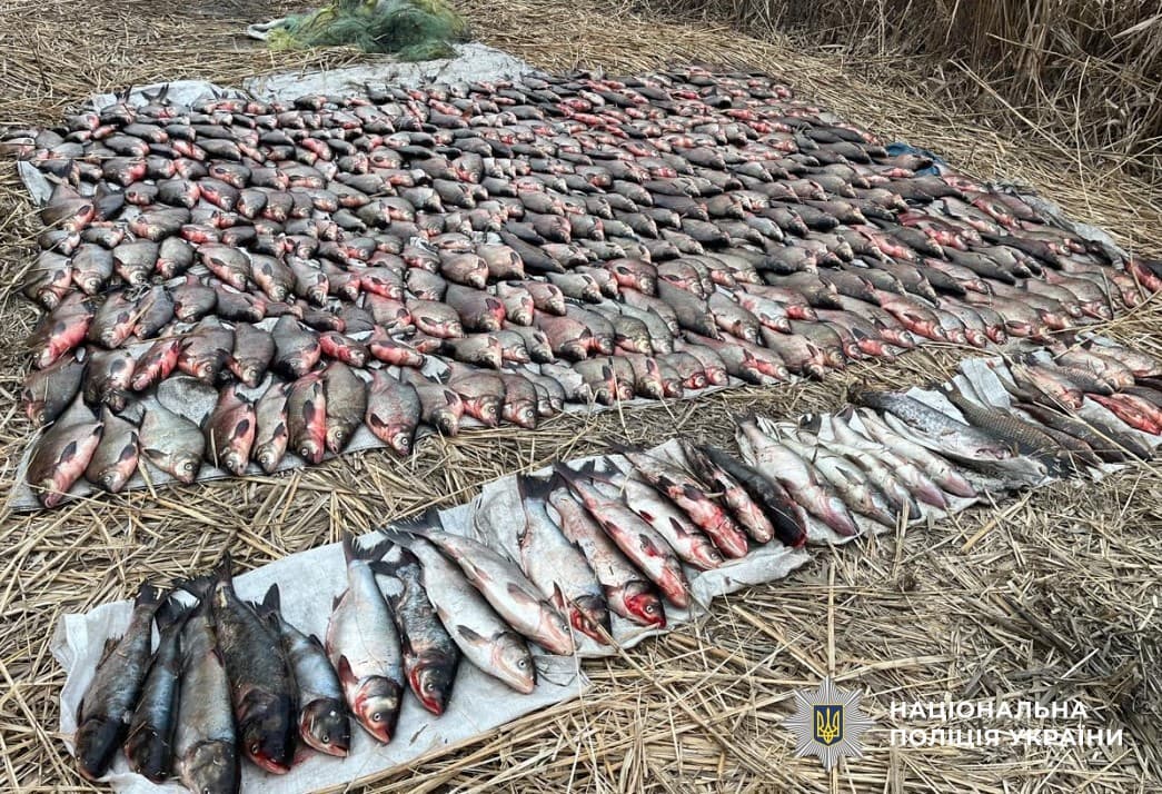 Викриття незаконного рибного промислу